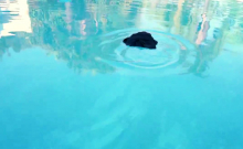 Skinny Anal Blonde Mature Milf Drone Hunter